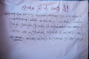 DSC_2924 - 